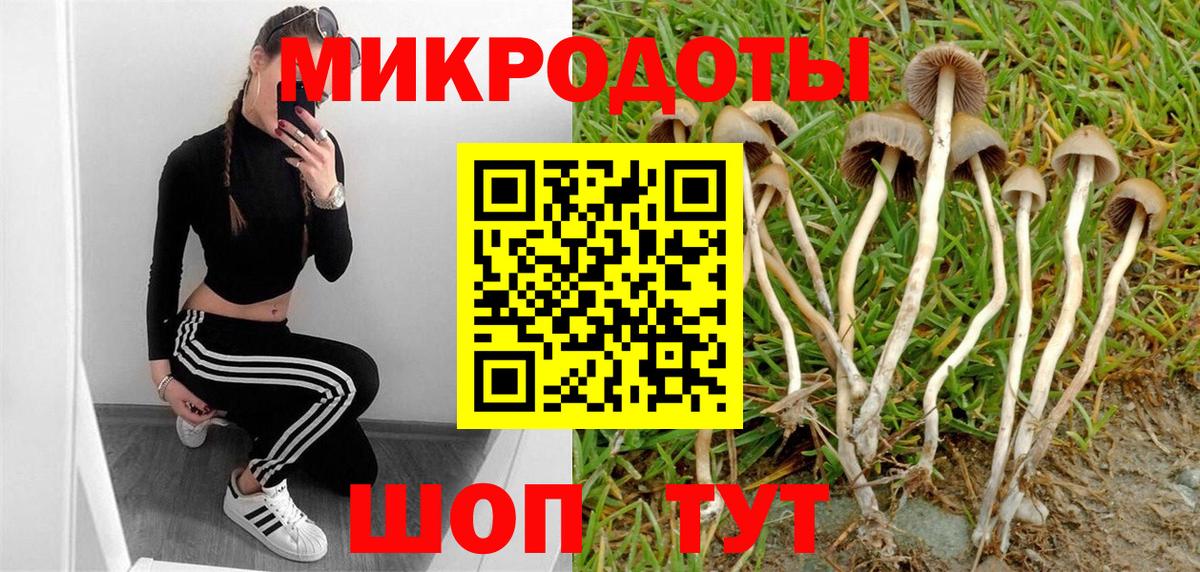 Галлюциногенные грибы MAGIC MUSHROOMS Ессентуки